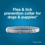 Seresto Flea & Tick Collar for Large Dogs (8-Month) - Image 4