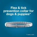 Seresto Flea & Tick Collar for Large Dogs (8-Month)