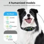 FAFAFROG Rechargeable Dog Bark Collar