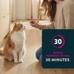 Capstar (nitenpyram) Oral Flea Treatment for Cats 2–25 lbs – 6 Doses - Image 4
