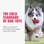 KONG Classic Stuffable Dog Toy – Durable Natural Rubber Chew & Fetch Toy - Image 4
