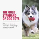 KONG Classic Stuffable Dog Toy – Durable Natural Rubber Chew & Fetch Toy
