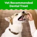 Greenies Original Regular Dental Dog Treats (36 ct)