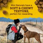 Zuke's Mini Naturals Dog Training Treats (Peanut Butter, 16 oz) - Image 4