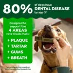 Greenies Original Regular Dental Dog Treats (36 ct)