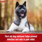 Sulfodene Dog Wound Care 3-Way Ointment – 2 oz - Image 3