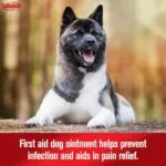 Sulfodene Dog Wound Care 3-Way Ointment – 2 oz